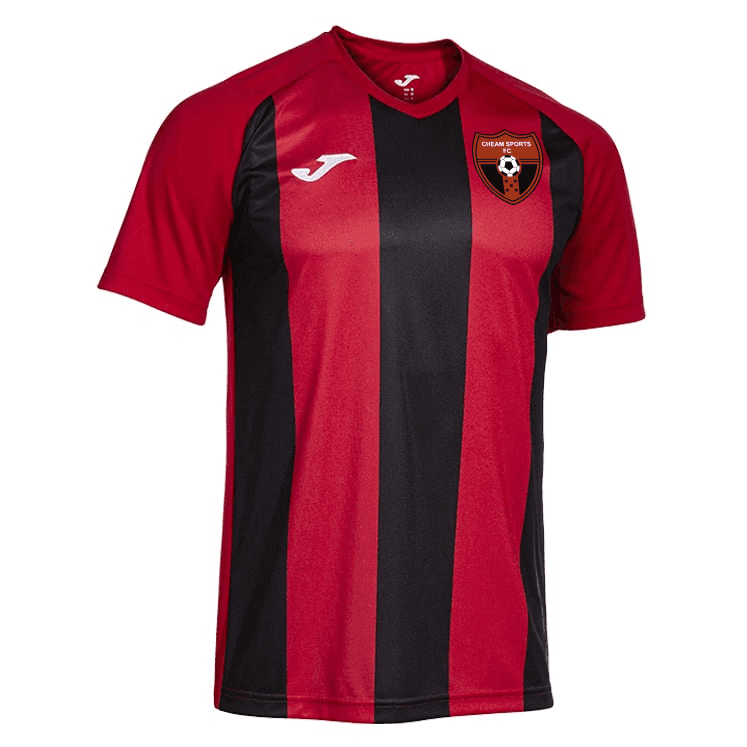 Joma Inter IV SS Jersey